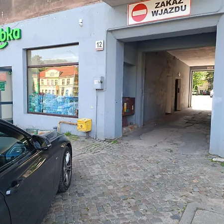 Jungle Gdansk