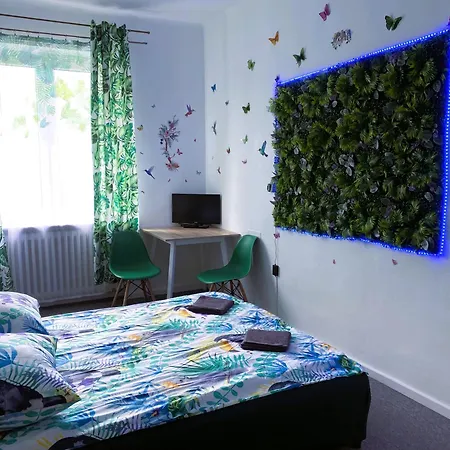 Apartment Jungle