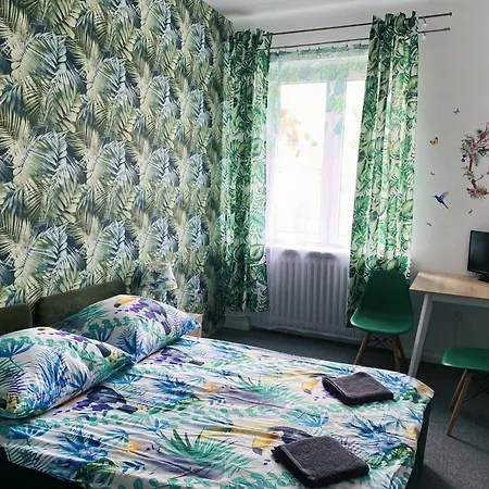 Apartment Jungle