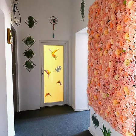 Apartment Jungle *