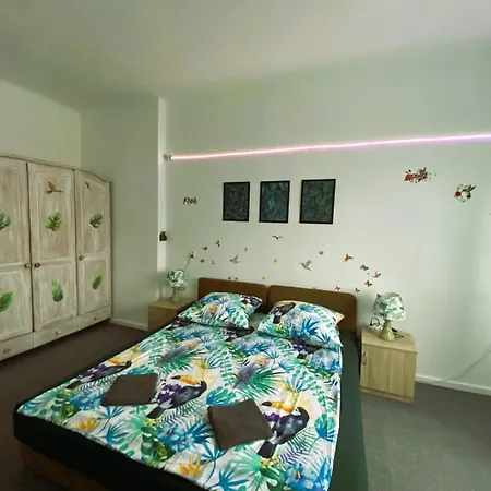 Jungle Apartment *
