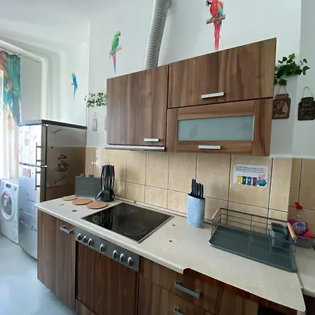 Apartamento Jungle *