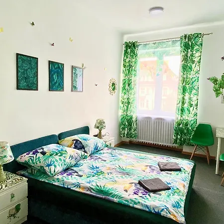 Jungle Gdansk