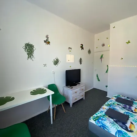 Jungle * Gdansk