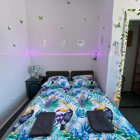 Jungle Apartment